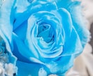 彼女と仲良くしたいのにいつも喧嘩してしまいます ✡そういうあなたへ魔法の言葉を授けます✡ イメージ6