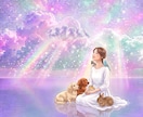 大切なあの子への想いに、そっと寄り添います ペットロス・「ありがとう」も「ごめんね」もお聴きします。 イメージ10