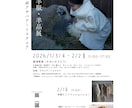 洗練された「シンプル＆上質」なチラシ制作します 【先着5名様限定・実績作り価格】展示会・ショップ・サロン向け イメージ2