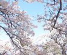 介護の資格合格のため３か月間家庭教師をします 現役介護講師が、資格合格のため徹底サポートします。 イメージ1