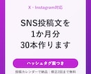 SNS投稿文を1か月分（30本）作ります X・Instagram対応｜ハッシュタグ案つき イメージ1
