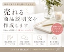 売上につながる商品説明文を作成します 商品の魅力を最大限に引き出します イメージ1