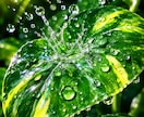 偽りなく誠実に、知りたいお気持ちにお応えいたします 現実鑑定✦真実を知りたい方に✧ 知りたいことはなんですか？ イメージ3