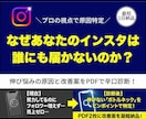 辛口診断！インスタ伸び悩みの改善案をお渡しします プロが「なぜ成果が出ないか」を分析。診断＋改善案PDF2枚 イメージ1