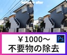 迅速納品1000円〜不要物除去 / 各種加工します 不要物除去/色調補正/レタッチ/合成/各種加工/白背景 イメージ1