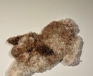 うさぎちゃんのラグ作ります 手打ちだからこそできる立体感を大切にしています イメージ1