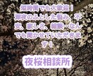 秘密厳守！悩み、寂しさ、雑談等、お聞き致します ⭐︎誰かに頼りにくい深夜…1人で抱えず、お話しませんか？⭐︎ イメージ1
