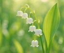 あなたの守護花をみます 今の波動に合った花をリーディングいたします イメージ2