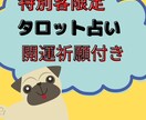 プラチナランク鑑定師が占います 特別な上得意様のための商品です。 イメージ1