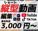 ショート動画編集承ります Shorts/TikTok/縦型動画/ 格安で編集します！ イメージ1