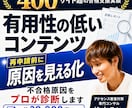 アドセンス審査の再申請前に不合格原因を診断します 400サイト以上の合格支援実績｜有用性の低い原因を赤ペン診断 イメージ1