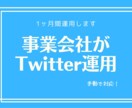 事業会社が1ヶ月間Twitter運用します 【安心の法人サービス！プロのチームが責任を持って対応します】 イメージ1
