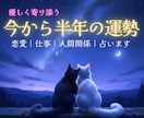 即日鑑定❣️7月~半年の運勢を優しく丁寧に占います お仕事|恋愛|人間関係|全体運|金運|タロットで流れをお届け イメージ1