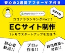 短納期◆実績多数！ShopifyでEC制作します ココナラ1位のプロがECデビューを徹底サポート◎! イメージ1