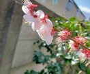 あなたをまるっとコーディネートします 友達とお食事、デート等の洋服などコーディネートいたします。 イメージ1