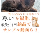 最短当日納品で編集します 尊いを形に。愛猫・愛犬のショート動画を編集致します。 イメージ1