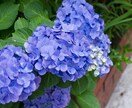 悩み相談承ります 中堅看護師兼公認心理師が悩み相談承ります！！ イメージ1