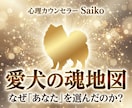 心理学×霊視！愛犬の魂の地図を作ります 「なぜ私を選んだの？」愛犬の使命と愛を地図にします イメージ1