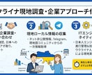 ウクライナ現地で企業・IT市場調査・交渉を代行ます 現地在住エンジニア×ウクライナ人パートナーがBtoB調査代行 イメージ1