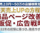 楽天商品ページ改善と販売/広告の方法を伝授します 商品ページの改善だけでは効果なし イメージ1
