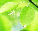 多くのストレスを吹き飛ばす！シン解消法をお教えます 効果的なコーピングで細胞レベルから変化したい方は、ぜひ！ イメージ1