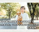 選べる背景★HP風プロフィールムービー作ります 幼少期との成長を比較！WEB風のおしゃれな動画です イメージ9