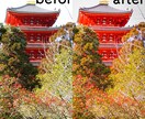 写真の補正・合成・切り抜き承ります WebでもSNS用にも使えます! イメージ1