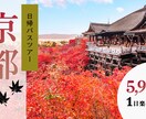 WEB画像作成いたします シンプルで分かりやすいデザインでお作りします！ イメージ9