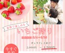 SNS画像やバナー制作承ります 初めての方も安心・低価格でご利用いただけます。 イメージ2