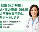 獣医師(臨床5年)犬猫の病気の不安をサポートします “病院では聞けなかったこと”をオンラインで丁寧にお伝えします イメージ1