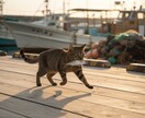 ペット写真からリアルで高品質なAI画像を作成します ♥️本当に撮影したような、特別な一枚 ♥️ イメージ6
