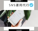 初回限定価格！Instagram運用します 必ずあなたのファン増やします！ イメージ1