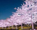 悩みがスッキリ解決します 恋愛や人間関係、仕事に悩んでる方はぜひ！ イメージ1
