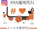 プロが運用 1ヶ月間インスタを完全代行します 集客に苦戦。リーチが伸びない方必見！！ イメージ1