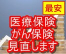 最安！現役FPが医療保険・がん保険を見直します 医療保険を見直して、毎月の支出を大幅カット！ イメージ1