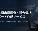 多言語市場調査・競合分析レポートを代行作成します 海外一次情報を精査し日本語要約致します イメージ5