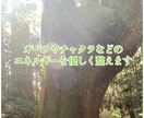 心とエネルギーを整え今ここに戻るヒーリングをします ☆50分間の安心と平安に包まれる時間☆ イメージ2