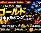 GOLD 1分足スキャルピング　スマホで完結します 購入特典☆トレードノート、エントリーチェックシート☆ イメージ2