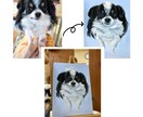 シュールで可愛いペットの似顔絵描きます わんちゃん・猫ちゃん・小動物・爬虫類皆様大歓迎⭐︎ イメージ3
