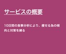 10日間の食事分析から痩せる為の戦略を見つけます 記録PDFとフィードバック動画つき！栄養士による食事分析 イメージ2