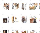 LINEスタンプ作ります ご自宅のワンちゃんや猫ちゃんをスタンプにしませんか☺︎ イメージ2