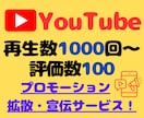 YouTube再生回数、評価数拡散します 芸能人・YouTuber御用達★振り分け可能★保証あり イメージ1
