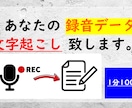 あなたの録音データ、文字起こし致します 録音データを聞きなおす時間がない方にオススメ イメージ1