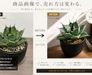 AIを活用してEC商品画像を制作しますます 楽天・Amazon・BASE等対応 イメージ2