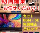 安価★YouTube向けの動画編集を承ります カット・テロップ・BGM・SE挿入など イメージ1