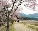 あなたの代わりにご予約致します 24時間365日いつでもokです～＼(^^)／ イメージ2