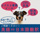 格安・迅速な英語翻訳いたします 海外ビジネス経験豊富な翻訳者があなたの英語のお困りごとを解決 イメージ1