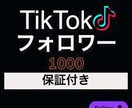 TikTok再生回数増えるまで拡散します ★最安値★1000円で今だけ1500再生お約束。 イメージ3