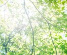海神四柱推命/神理と慈悲で大人の戦略占います 慰めは不要。厳しい現実(神理)と次の一手(慈悲)を イメージ10