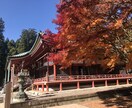 バーチャル京都観光を個別に開催いたします タクシー運転手がこっそり教える、知ってるようで知らない京都！ イメージ5
